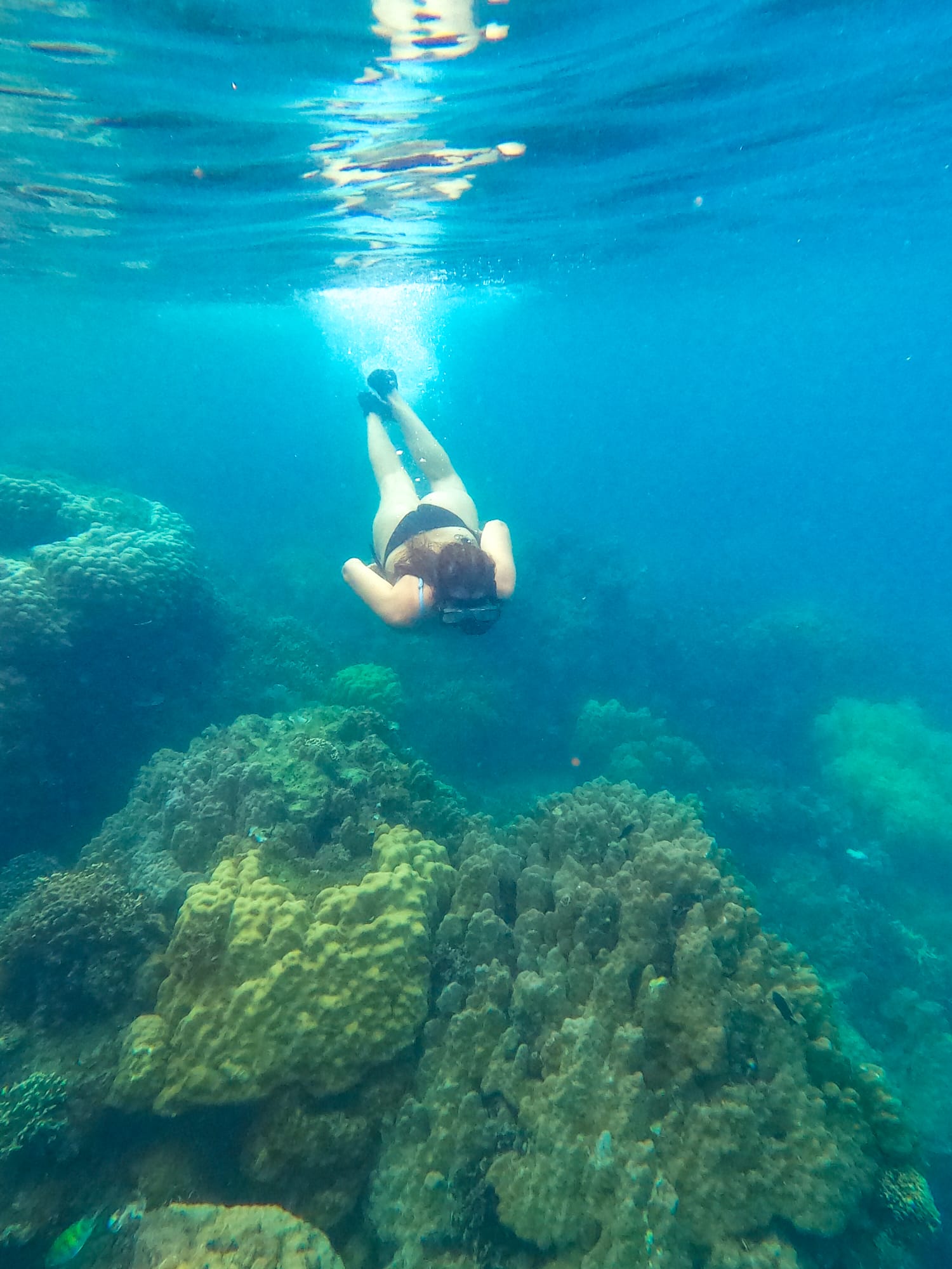 Rapariga a fazer snorkeling em Miniloc Island