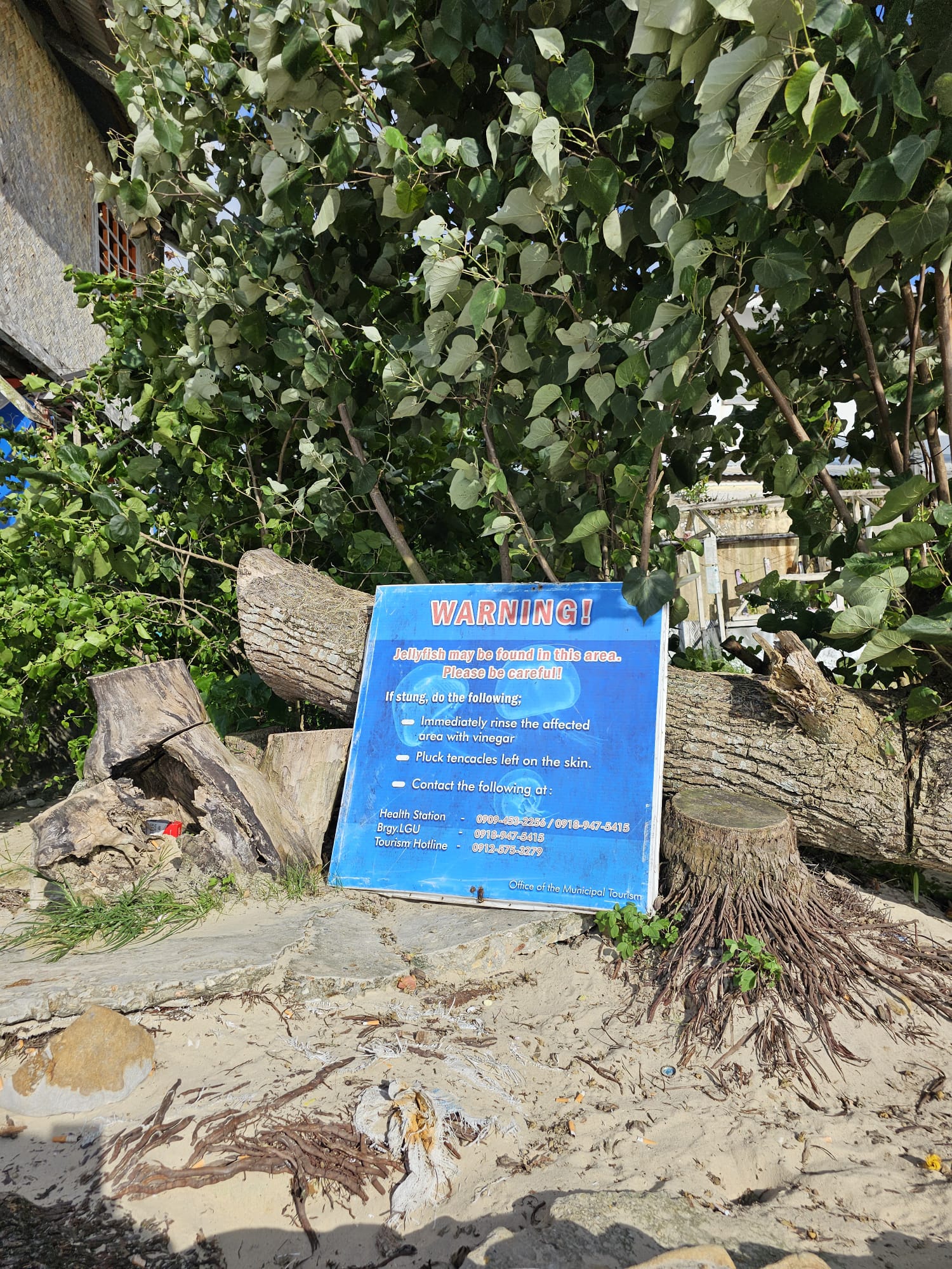 Aviso numa praia das Filipinas para os turistas terem cuidado com as alforrecas